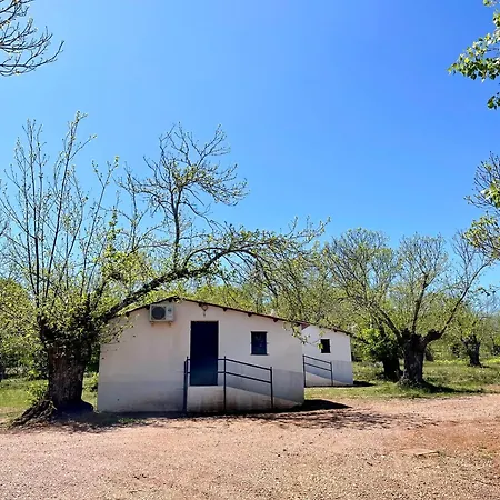 Camping El Madronal Fuenteheridos Exterior photo