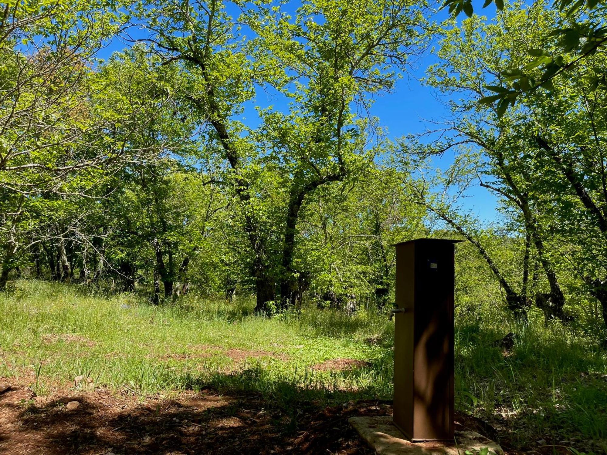 El Madronal Camping Fuenteheridos