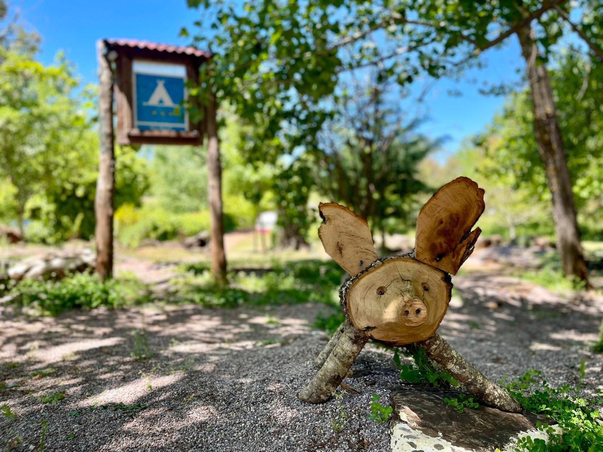 Campsite El Madronal