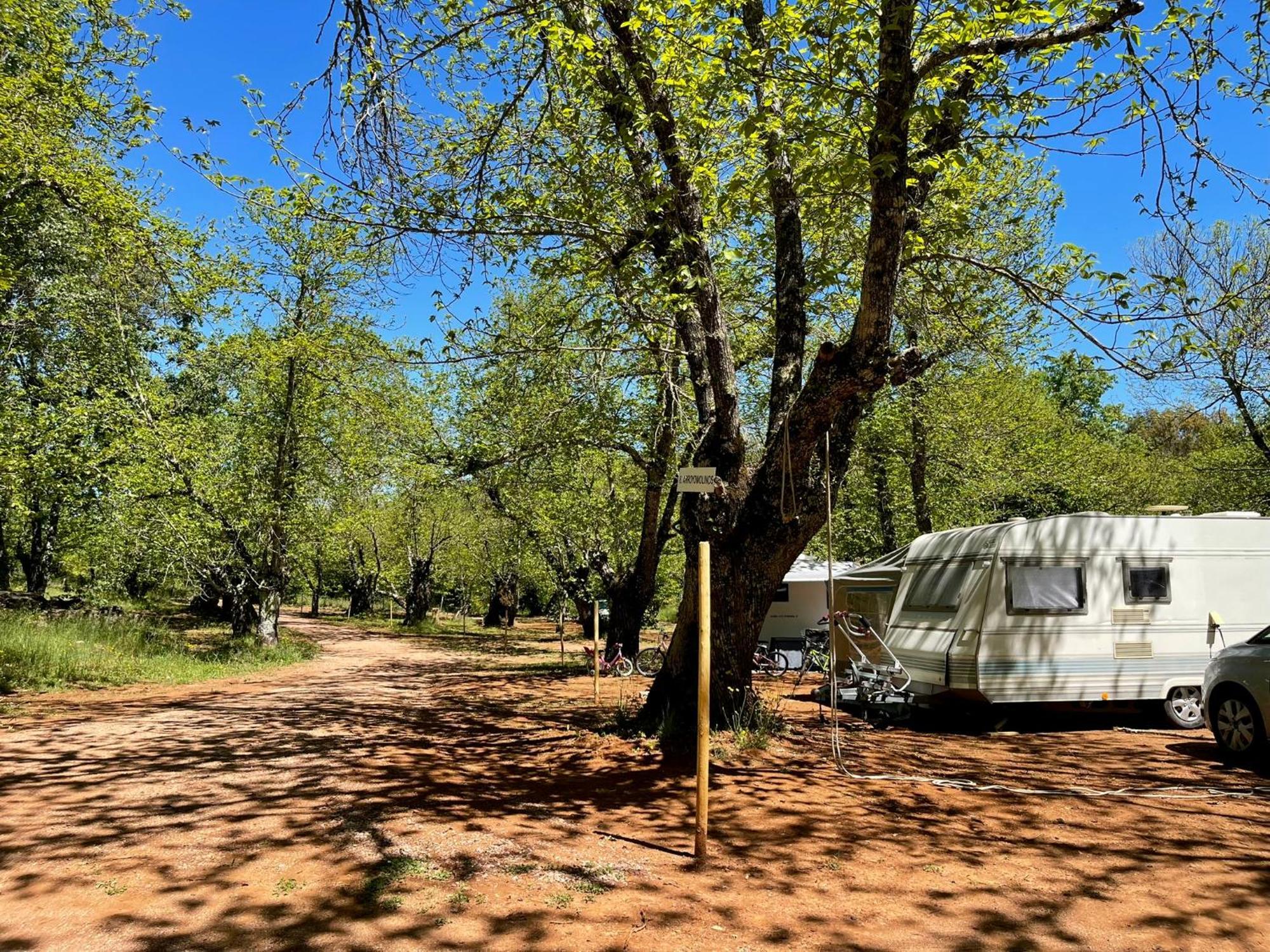El Madronal Campsite