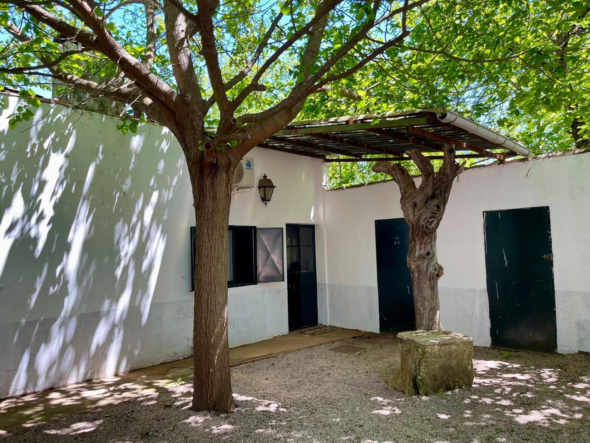 Campsite El Madronal *