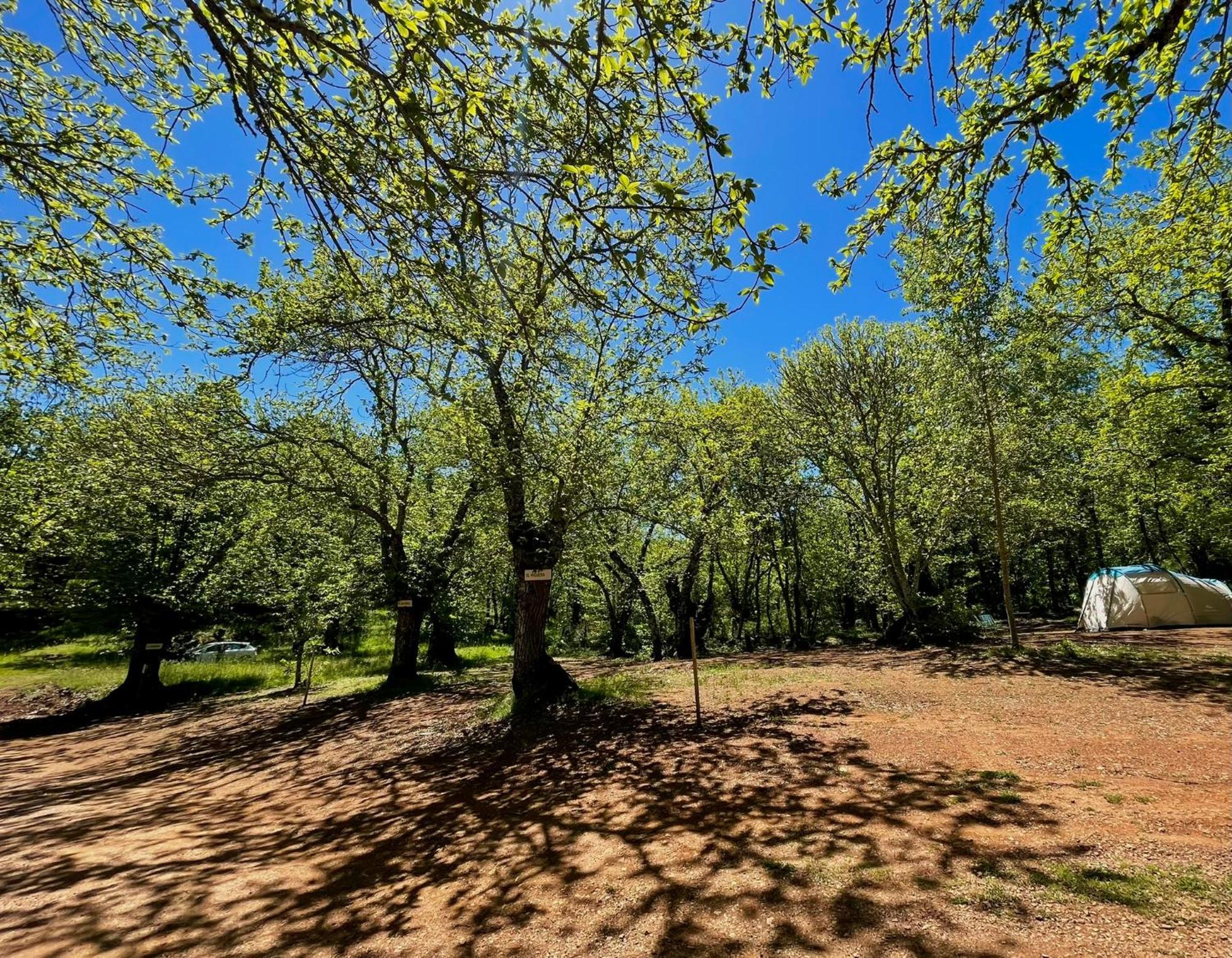 Campsite El Madronal