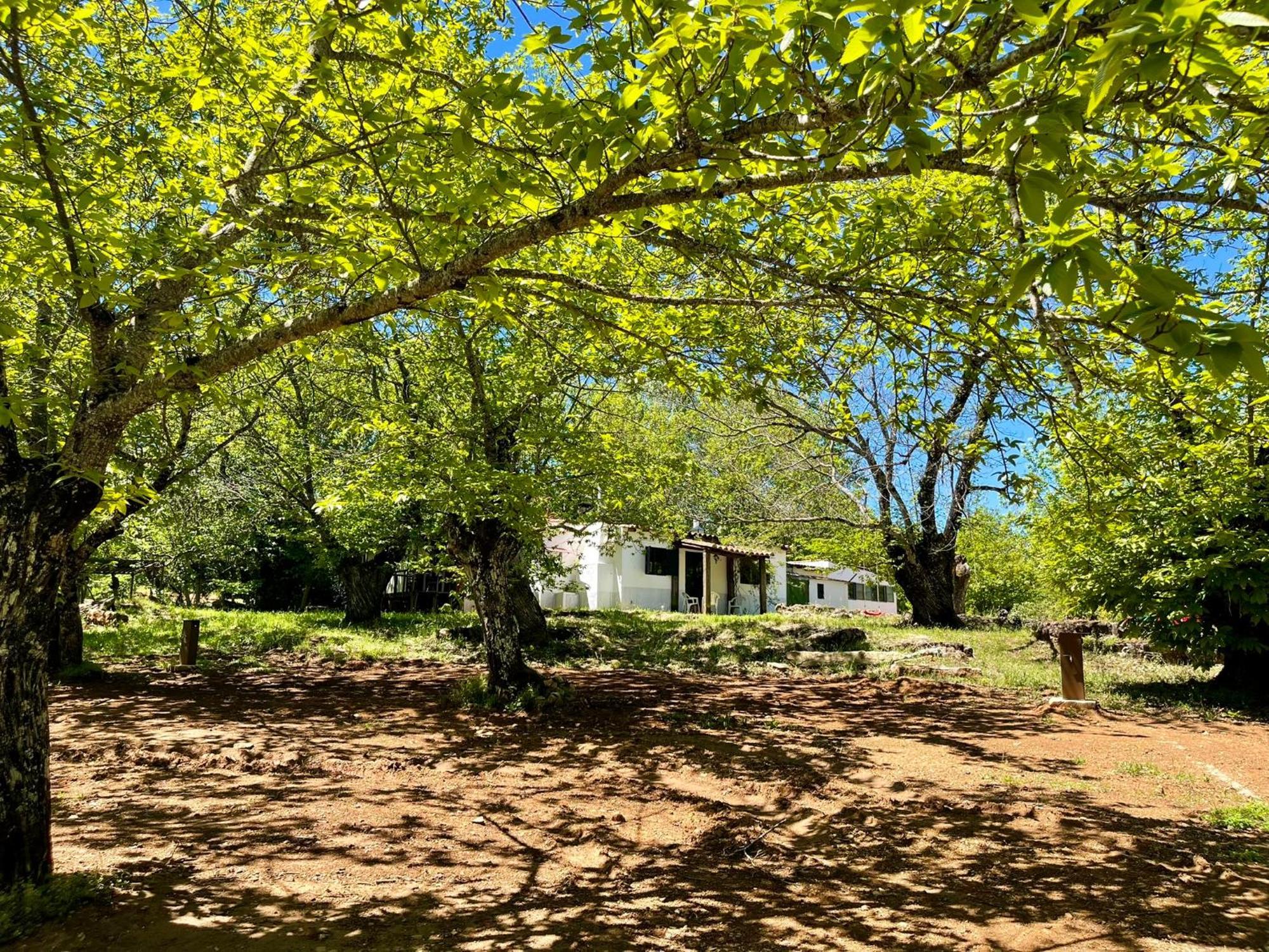 Campsite El Madronal Fuenteheridos