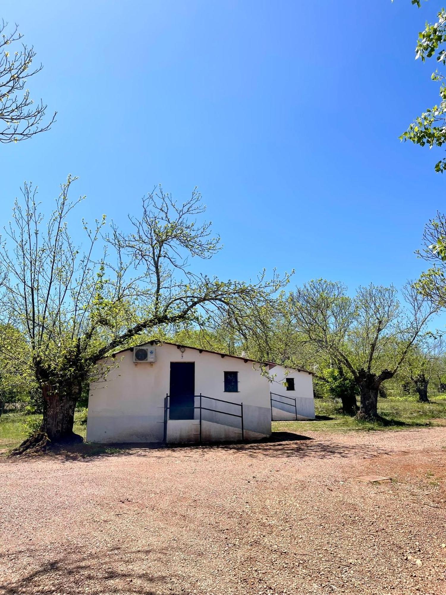 Campsite El Madronal